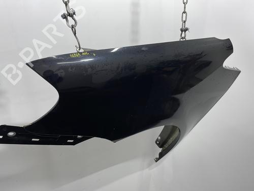 Left front fenders VW TOURAN (1T1, 1T2) 1.9 TDI | BP29749668C41 