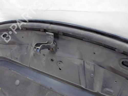 Hood RENAULT ESPACE IV (JK0/1_) 2.2 dCi (JK0H) | BP20413786C1 