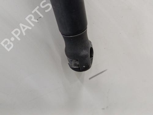 Hood lift support VOLVO C30 (533) 2.0 D | BP21238422C139 