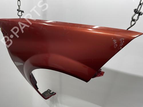 Right front fenders RENAULT MEGANE II (BM0/1_, CM0/1_) 1.5 dCi (BM1E, CM1E) | BP20390967C42 