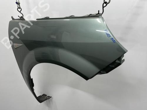 Right front fenders RENAULT SCÉNIC II (JM0/1_) 1.5 dCi (JM02, JM13) | BP20422195C42 