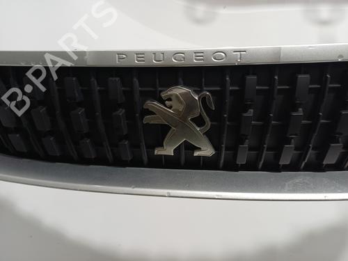 Grill Grill PEUGEOT EXPERT Van (V_) 2.0 BlueHDi 120 (122 hp) 34355631 34355631
