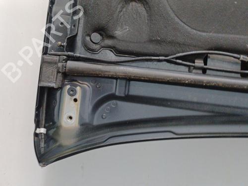 Hood CITROËN C5 II (RC_) 2.0 HDi (RCRHRH) | BP20405158C1 