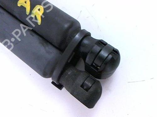 Tailgate lift support DACIA SANDERO II TCe 90 (B8M1, B8MA, B8AC) | BP20432394C138 