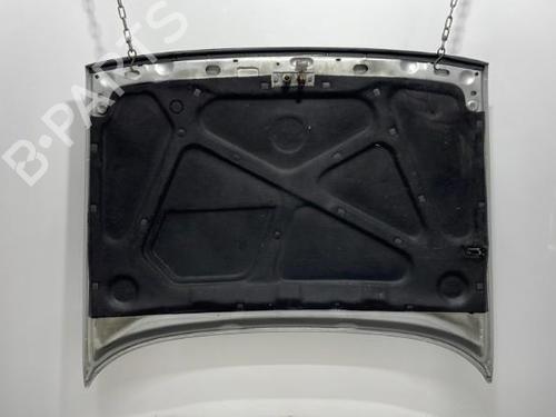 Used Hood Hood FIAT TEMPRA S.W. (159_) 1.9 TD (159.AI, 159.BI, 159.CU, 159.AU) (90 hp) 22102816 22102816