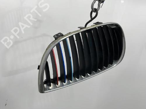 Used Grille BMW 1 (E87) 118 d (122 hp) 20418083