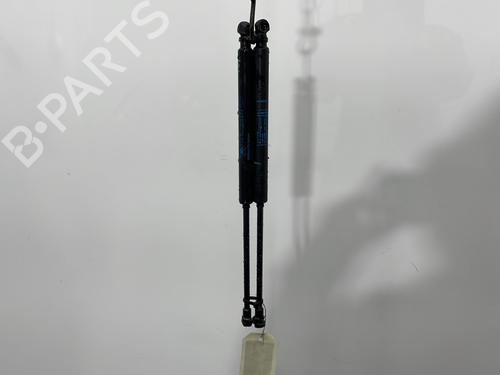 Gasdæmper bagklap RENAULT TWINGO II (CN0_) 1.2 (CN0D) (58 hp) 31584111