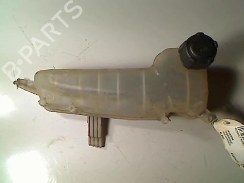 Used Expansion tank RENAULT KANGOO (KC0/1_) 1.2 (KC0A, KC0K, KC0F, KC01) (58 hp) 20412994
