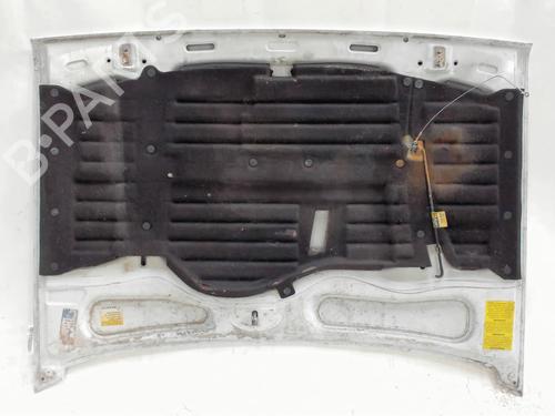Hood RENAULT RAPID Box Body/MPV (F40_, G40_) 1.6 D (F404) | BP20413746C1 
