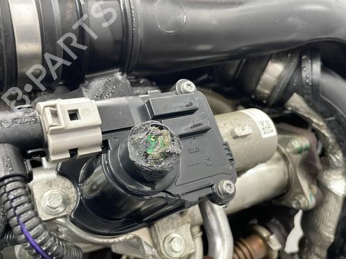 Motor RENAULT KANGOO Express (FW0/1_) 1.5 dCi 90 (FW0G, FW05, FW08, FW11) | BP29749699M1 