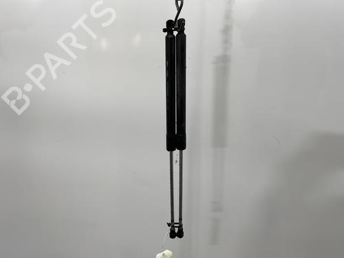 Used Tailgate lift support RENAULT LAGUNA III (BT0/1) 2.0 dCi (BT01, BT08, BT09, BT0E, BT0K, BT12, BT1C, BT1D,... (150 hp) 29291297