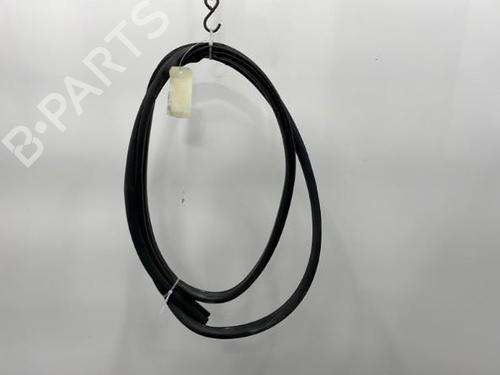 Used Rubber door seal NISSAN ALMERA TINO (V10) 2.2 dCi (115 hp) 20395991
