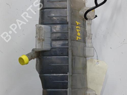 Expansion tank RENAULT KANGOO / GRAND KANGOO II (KW0/1_) 1.5 dCi 85 (KW0K, KW0L, KW0B) | BP20406171C120 