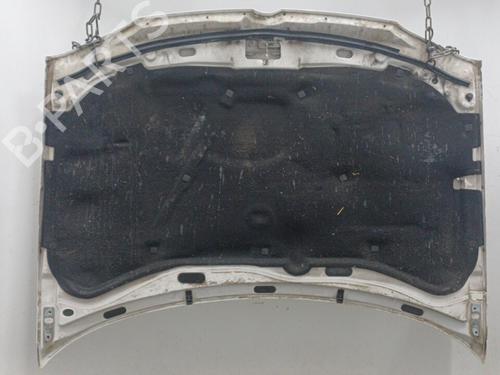 Hood VW GOLF IV (1J1) 1.9 TDI | BP22102407C1 