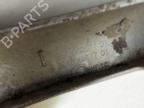 Tailgate trim PEUGEOT 206 Hatchback (2A/C) 1.4 HDi eco 70 | BP29625252C151 