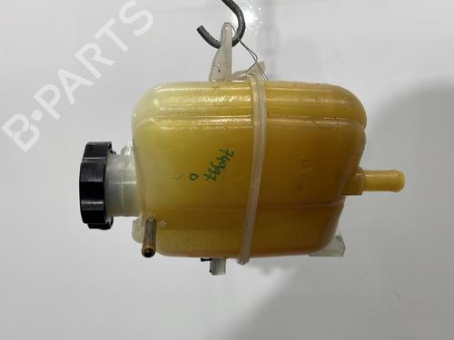 Used Expansion tank CHEVROLET SPARK (M300) 1.0 (68 hp) 32042564
