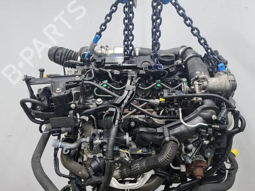 Engine FORD FIESTA VI (CB1, CCN) 1.4 TDCi | BP20406772M1 