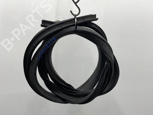 Used Rubber door seal FORD S-MAX (WA6) 2.0 TDCi (130 hp) 20418159