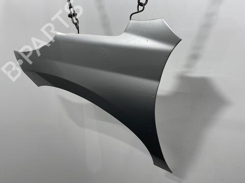 Left front fenders PEUGEOT 207 (WA_, WC_) 1.6 HDi | BP29760083C41 