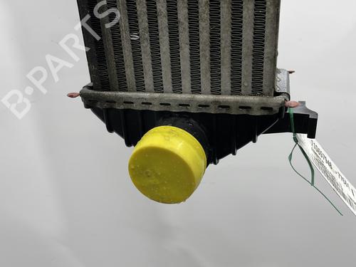 Intercooler RENAULT KANGOO / GRAND KANGOO II (KW0/1_) 1.5 dCi 90 (KW05, KW08, KW0G, KW11) | BP28482004M30