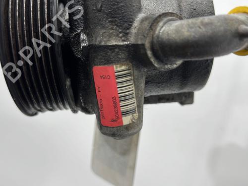 Steering pump IVECO DAILY IV Van 35C12 V, 35C12 V/P, 35S12 V, 35S12 V/P | BP29604008M99 