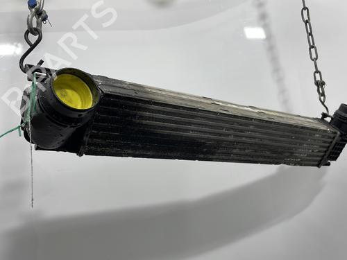 Intercooler RENAULT MEGANE III Coupe (DZ0/1_) 1.9 dCi (DZ0N, DZ0J, DZ1J, DZ1K) | BP29514092M30 