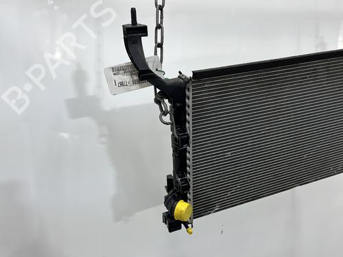 Køler RENAULT LAGUNA III (BT0/1) 2.0 dCi (BT01, BT08, BT09, BT0E, BT0K, BT12, BT1C, BT1D,... | BP29291303M31 