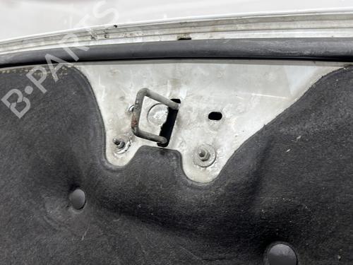 Used Hood Hood FORD TRANSIT CUSTOM V362 Van (FY, FZ) 2.0 EcoBlue (130 hp) 33622160 33622160