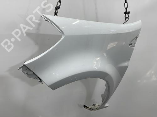 Left front fenders RENAULT CLIO III (BR0/1, CR0/1) 1.5 dCi (C/BR0G, C/BR1G) | BP29437970C41 