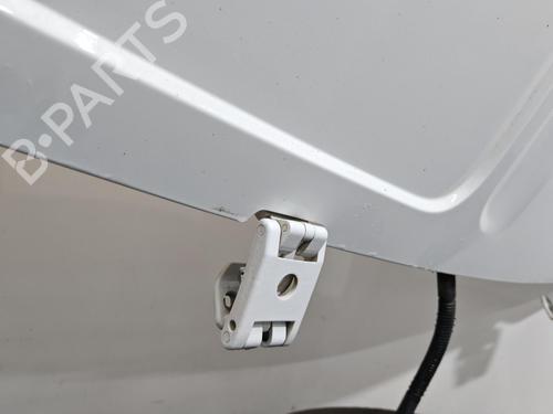 Portón trasero izquierdo Portón trasero izquierdo RENAULT MASTER III Van (FV) 2.3 dCi 130 FWD (FV0M, FV0Y, FV0J, FV02, FV03) (130 hp) 36957798 36957798