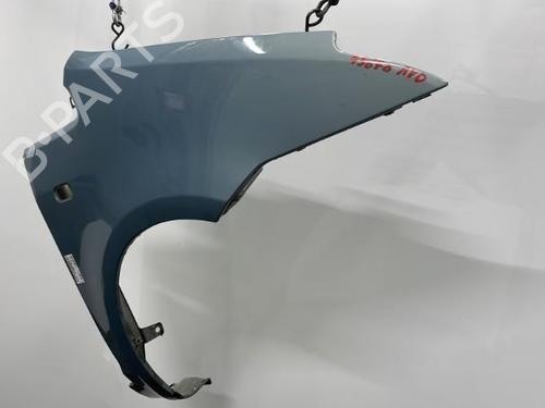 Right front fenders FORD C-MAX (DM2) 1.6 TDCi | BP20463473C42 