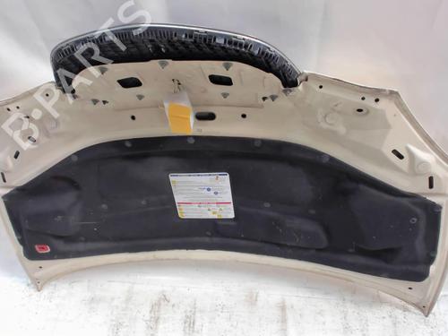 Used Hood Hood 20407449 20407449