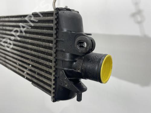 Used Intercooler Intercooler RENAULT MASTER II Van (FD) 2.5 dCi 120 (FD0M, FD0U, FD0W, FD2M, FD2W, FD3M, FD3U,... (115 hp) 30308393 30308393