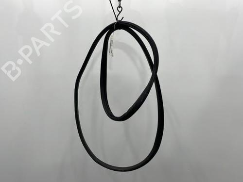 Used Rubber door seal RENAULT MEGANE III Hatchback (BZ0/1_, B3_) 1.5 dCi (BZ09, BZ0D, BZ1W, BZ29, BZ14) (110 hp) 20441869