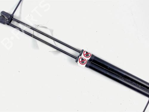 Used Tailgate lift support FORD B-MAX (JK) 1.0 EcoBoost (125 hp) 20469150
