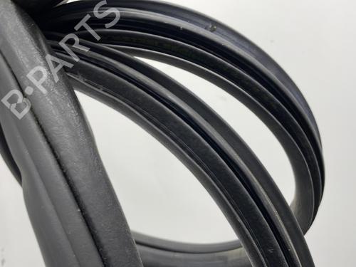 Rubber door seal NISSAN ALMERA TINO (V10) 2.2 dCi | BP20928895C142