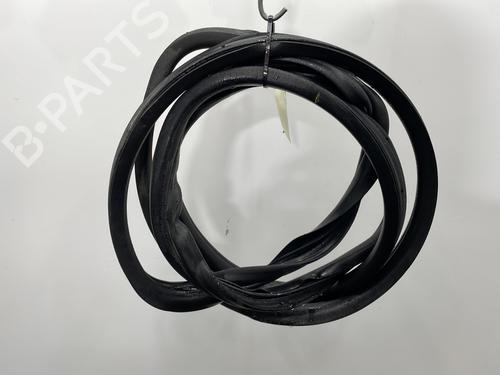Used Rubber door seal FIAT DUCATO Van (250_) 150 Multijet 2,3 D (148 hp) 29545067