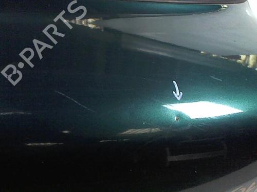 Tailgate HYUNDAI ACCENT I (X-3) 1.3 | BP20477036C6 