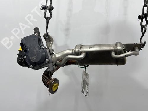EGR-Ventil RENAULT CAPTUR I (J5_, H5_) 1.5 dCi 90 (J5N4, J5M5, J5MW, J5M6, J5AL, J5AJ) (90 hp) 29338391