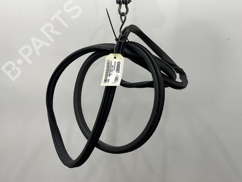 Used Rubber door seal NISSAN JUKE (F15) 1.5 dCi (110 hp) 25122641