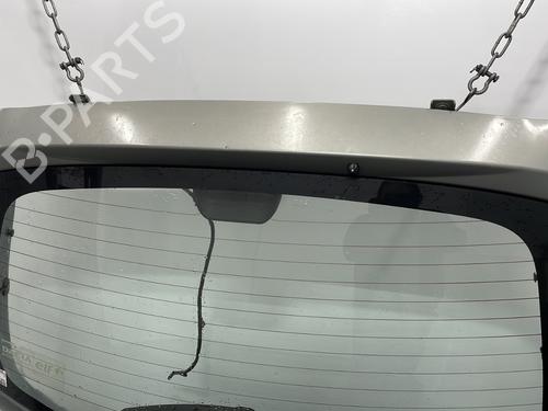 Tailgate DACIA SANDERO 1.5 dCi | BP25861618C6 