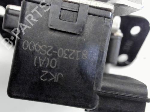 Tailgate lock HYUNDAI ix35 (LM, EL, ELH) 1.7 CRDi | BP31679545C101 