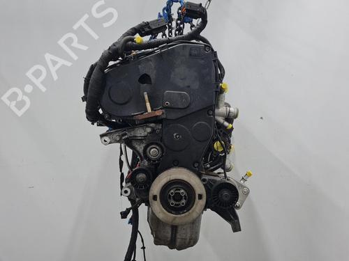 Used Engine Engine FIAT STILO (192_) 1.9 D Multijet (100 hp) 20429063 20429063