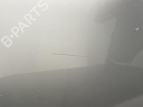 Left slide door RENAULT KANGOO / GRAND KANGOO II (KW0/1_) 1.5 dCi 90 (KW05, KW08, KW0G, KW11) | BP29638993C74 