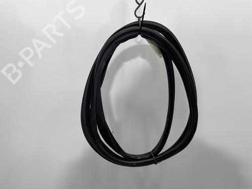 Goma contorno puerta FORD GRAND C-MAX (DXA/CB7, DXA/CEU) 1.6 TDCi (115 hp) 30848272