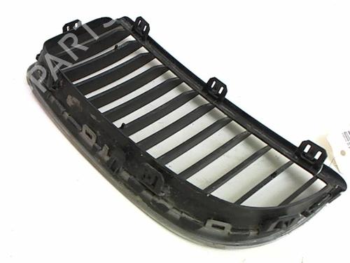 Grille BMW 3 (E90) 320 d | BP21231884C40 