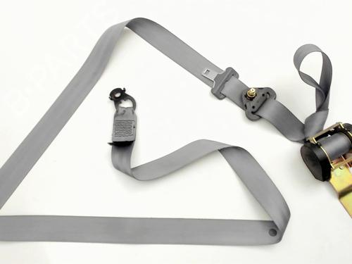 Used Front left belt tensioner RENAULT MEGANE I (BA0/1_) 1.9 dCi (BA05, BA1F) (102 hp) 30401758