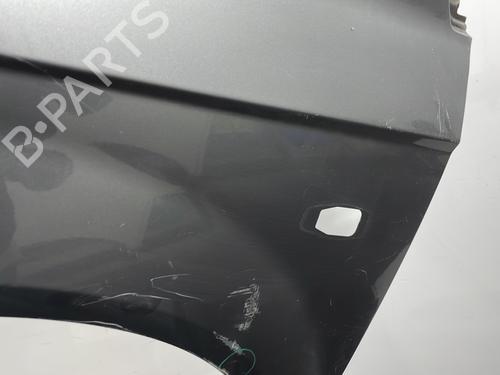 Left front fenders HYUNDAI GETZ (TB) 1.1 | BP20429449C41 