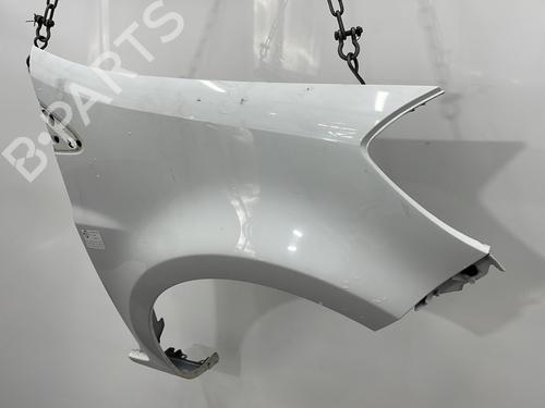 Right front fenders RENAULT CLIO III (BR0/1, CR0/1) 1.5 dCi (C/BR0G, C/BR1G) | BP29437969C42 