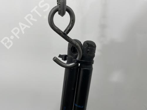 Tailgate lift support RENAULT MEGANE II (BM0/1_, CM0/1_) 1.9 dCi (BM0G, CM0G) | BP29419845C138 